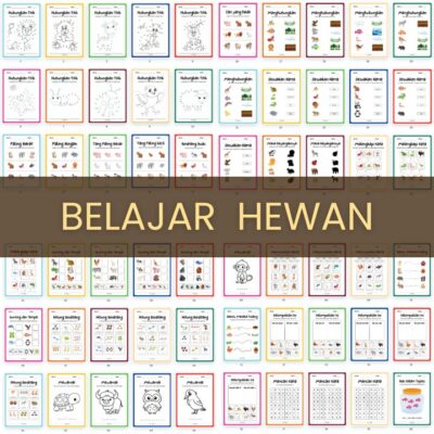 Belajar Hewan