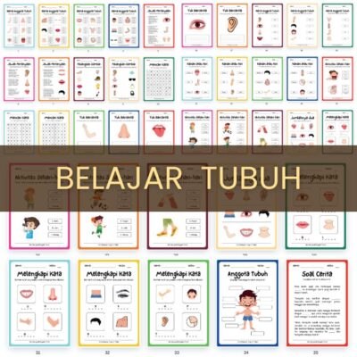 Belajar Tubuh